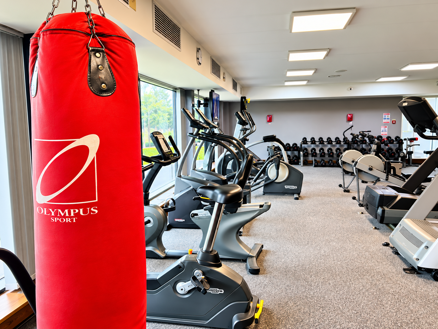 Gym @ Nicssa Stormont